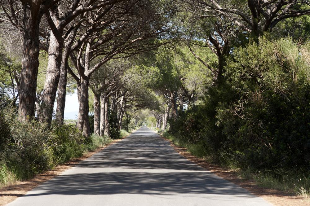 Arli Hideaway - Adults Only Punta Ala