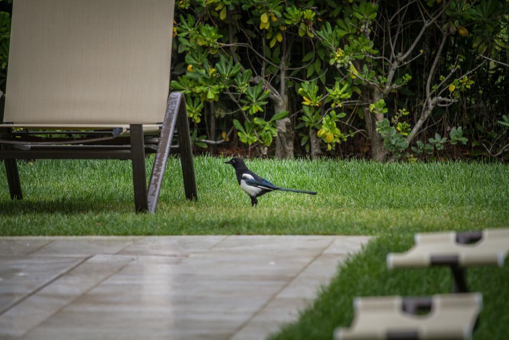 Arli Hideaway - Adults Only Punta Ala