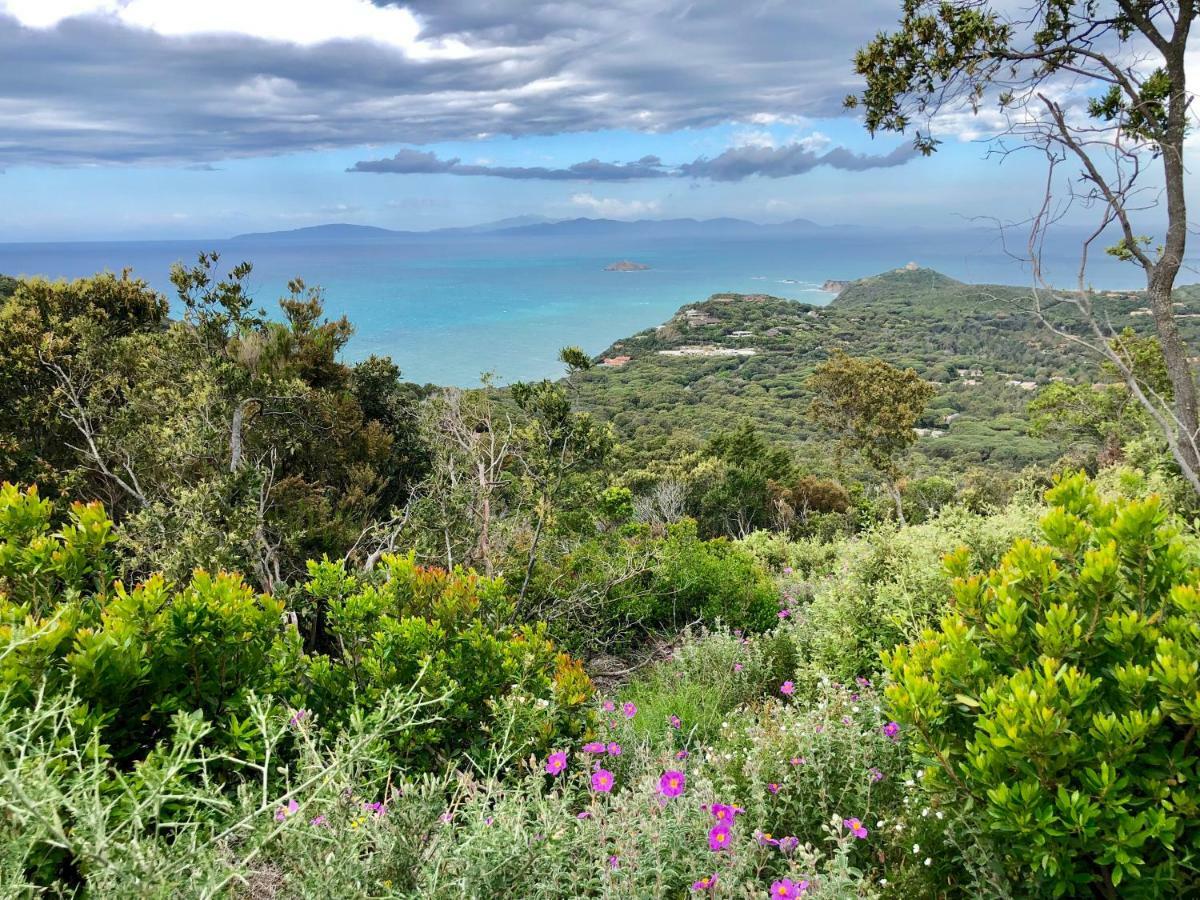 Hotel Arli Hideaway - Adults Only